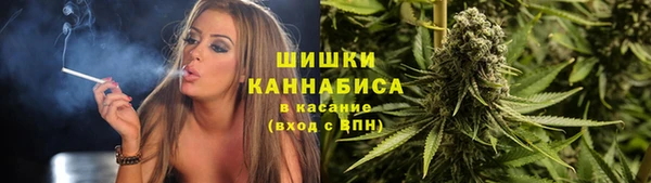 стафф Каменка