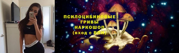прущие крисы Киреевск
