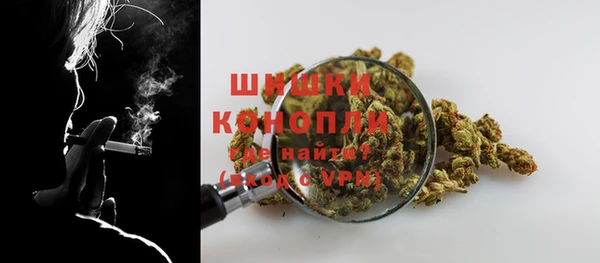 стафф Каменка