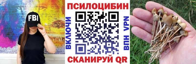 Галлюциногенные грибы GOLDEN TEACHER  KRAKEN tor  Клин 