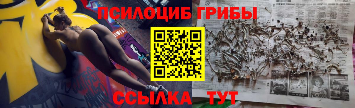 продажа наркотиков  Псилоцибиновые грибы мухоморы  Вход с VPN  Клин  Псилоцибиновые грибы прущие грибы 
